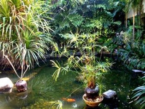 myanmar-mandalay-city-hotel-garten_1