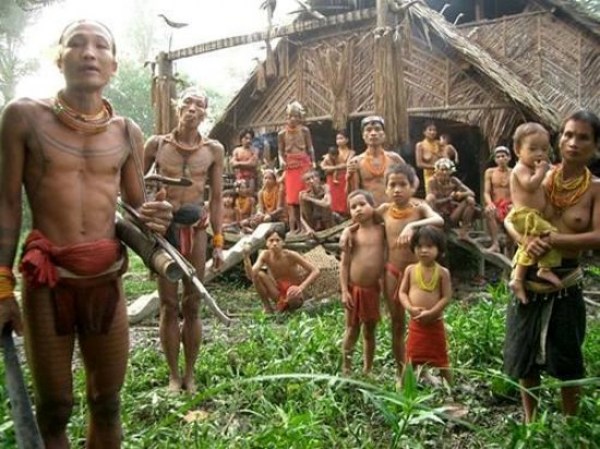 trekking-tour-to-siberut